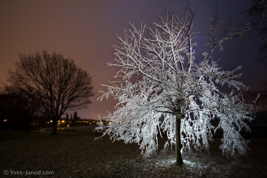 Bise Et Glace Sur Le Lac Leman Photos Du Gel Entre Geneve Et Rolle